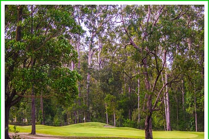The Golf Book: Green Cathedral Dreams